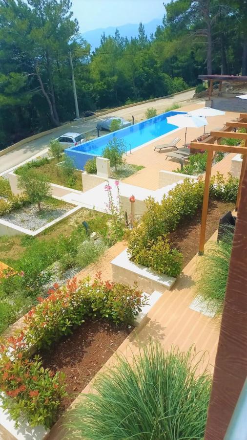 Cozy Apartments With Pool And Splendid Seaview Kavač Extérieur photo